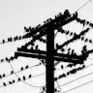 Meet your Posher, Phillip